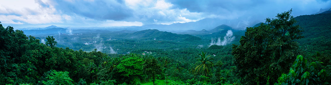 Car Rental for Wayanad